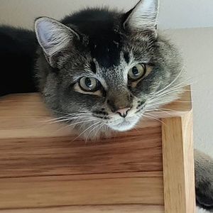 Meet your Posher, Jeri